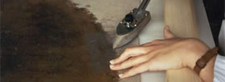 Cleaning and preservation of the canvas