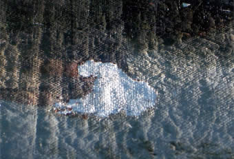 Filler's structure seen in low-angled light